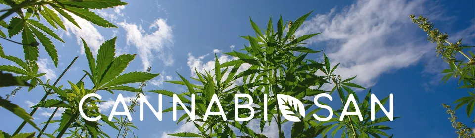 Cannabiosan banner with cannabis plants